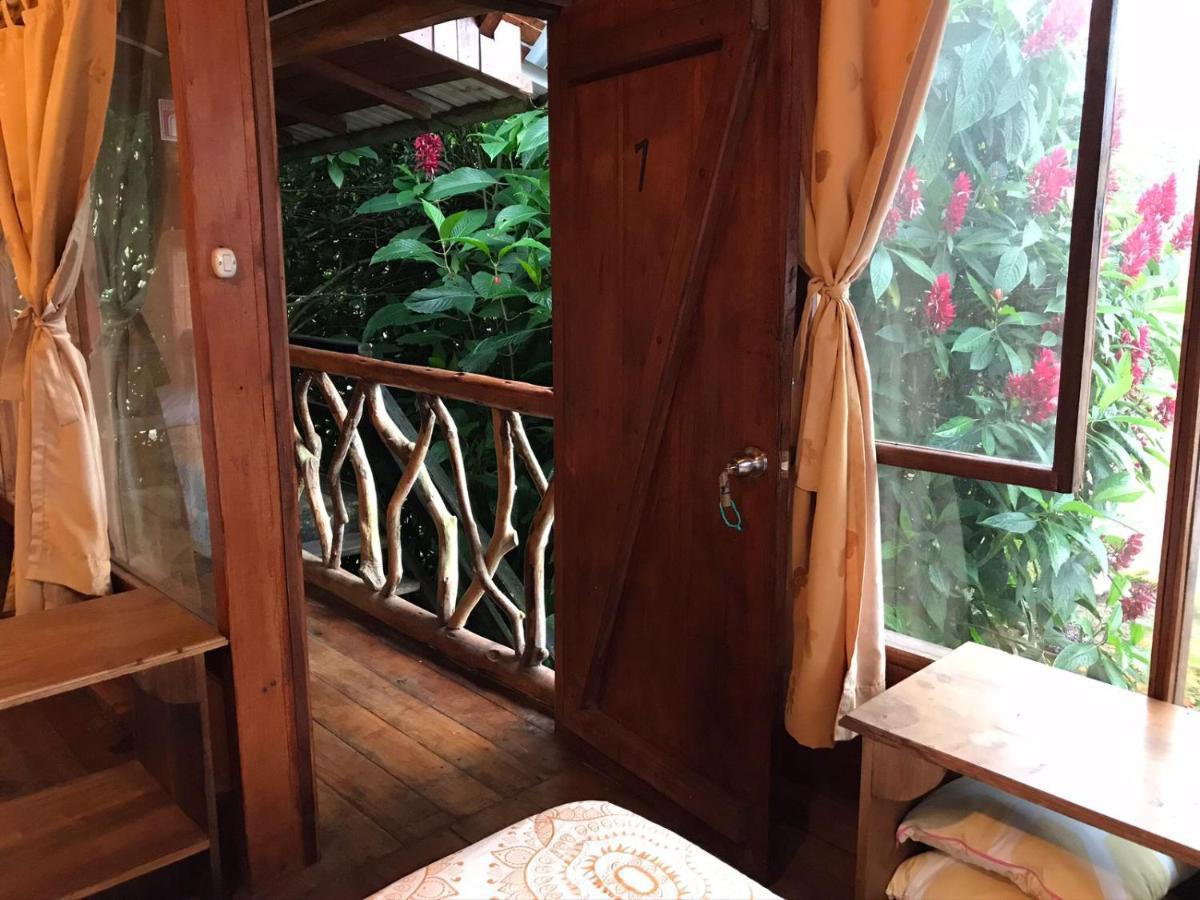 Hosteria Los Cedros De מינדו מראה חיצוני תמונה